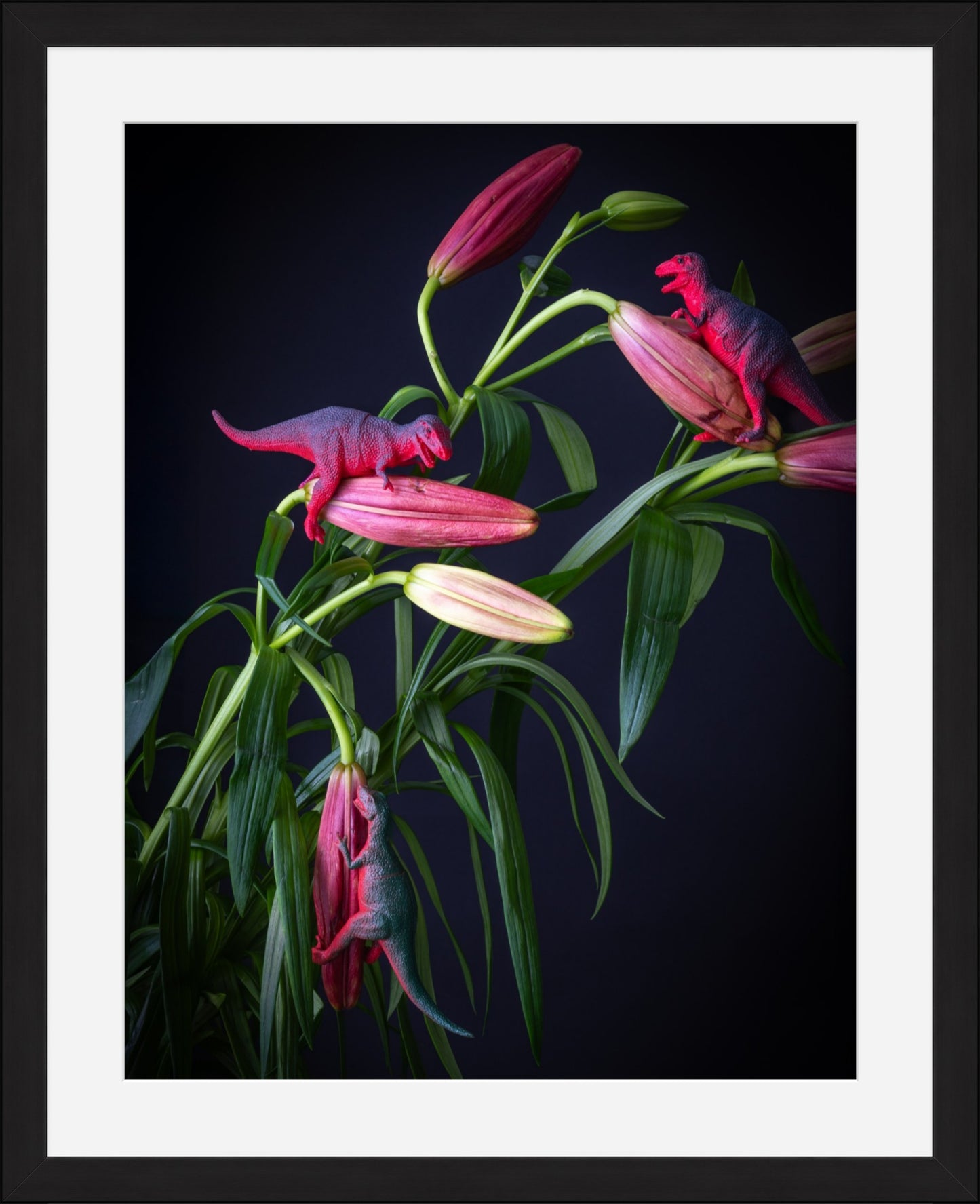 Pink Pollinators fine art dinosaur photo print by Emily Barrows – pink flowers and prehistoric creatures