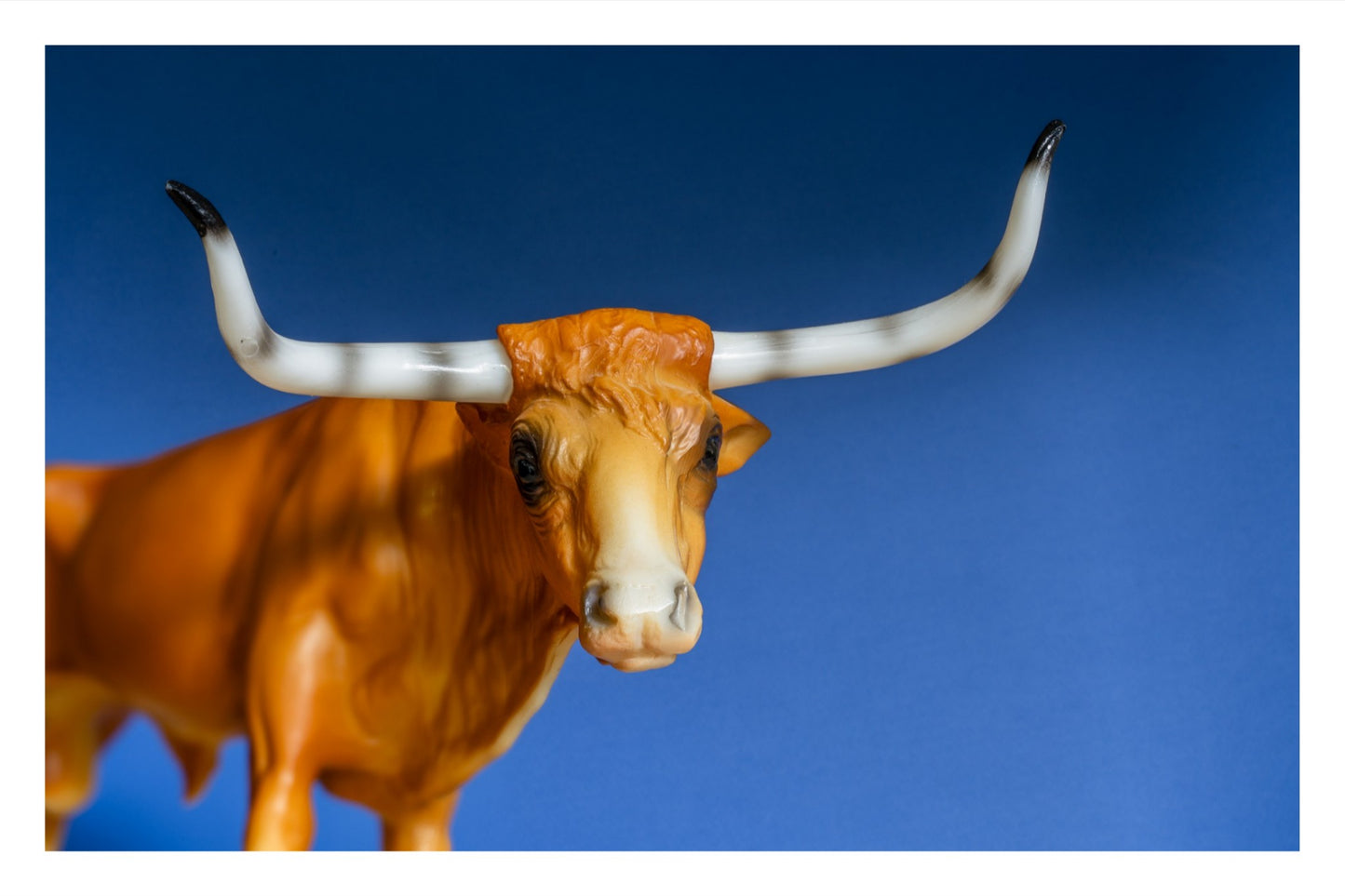 Color photograph of a toy longhorn cow, lit dramatically against a blue background.
