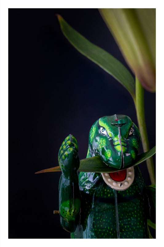 Color photograph of a toy Godzilla figure positioned among vibrant flowers in a surreal botanical composition.