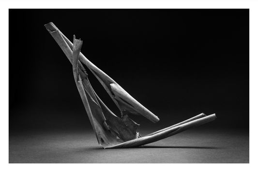 Close-up black and white photograph of peeling Pacific madrone bark.