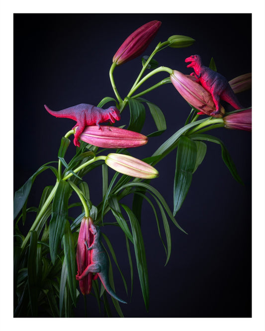 Pink Pollinators fine art dinosaur photo print by Emily Barrows – pink flowers and prehistoric creatures