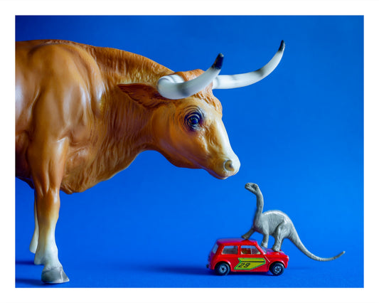 Color photograph of a toy brontosaurus stepping on a red Mini Cooper car to greet a toy longhorn.