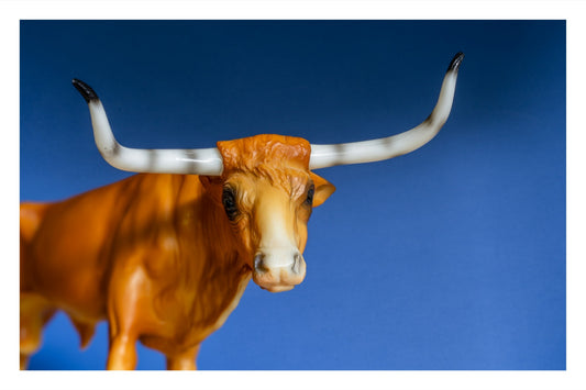 Color photograph of a toy longhorn cow, lit dramatically against a blue background.
